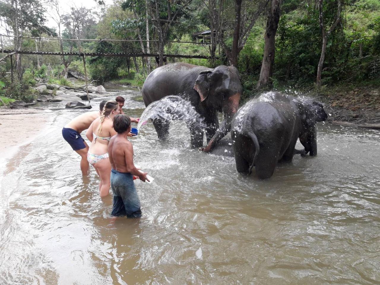 Хостел Keta' Jungle Trek House Чиангмай Экстерьер фото