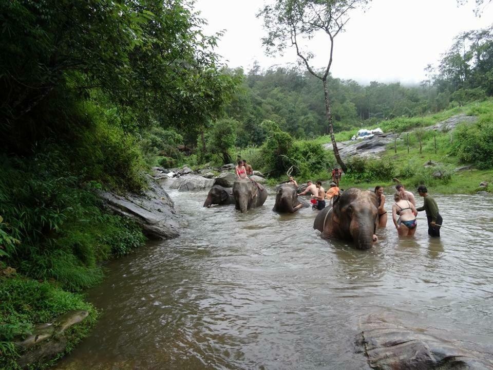 Хостел Keta' Jungle Trek House Чиангмай Экстерьер фото